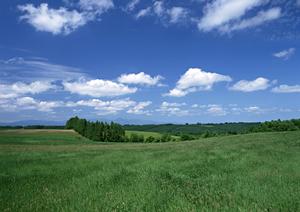 静岡県浜松市の家族葬専門斎場｜家族葬のタクセル佐鳴台の全て