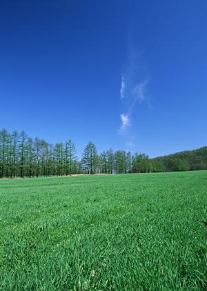 家族葬専門の斎場・葬儀場「家族葬のタクセル雀宮」｜栃木県宇都宮市の安心低価格葬儀サービス