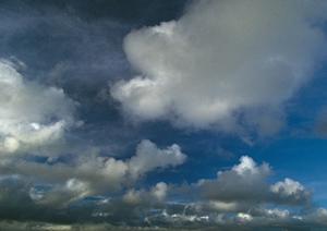 静岡県の家族葬・火葬・斎場・葬儀場を低価格で提供する家族葬のタクセルの詳細ガイド